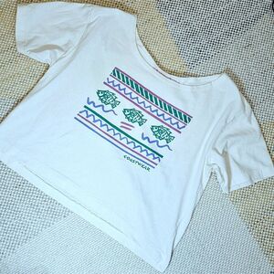 RARE Vintage Pennylane “Coastwear” Graphic Crop Tee – 90s Wide Neck – Women’s S
